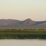 Mongolei, Gobi, 2016