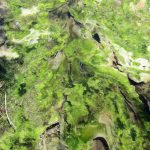 New Zealand, Wai-O-Tapu, 2020