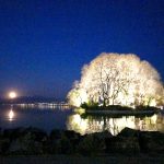 Schweiz, Rolle, 2020