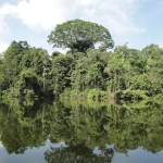 Peru, Reserva Natural Marasha, 2009