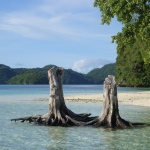 Palau 2008